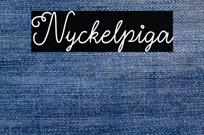 Nyckelpiga Example 1