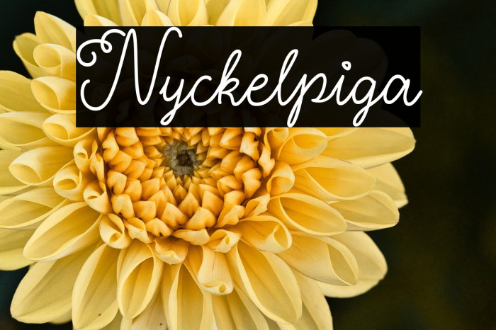 Nyckelpiga Example 2