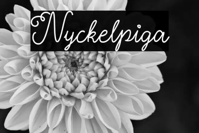 Nyckelpiga Example 2
