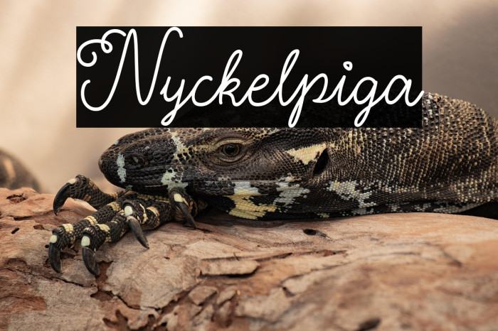 Nyckelpiga Example 3