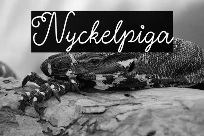 Nyckelpiga Example 3