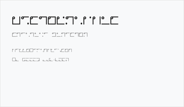 Nyctographic Business Card