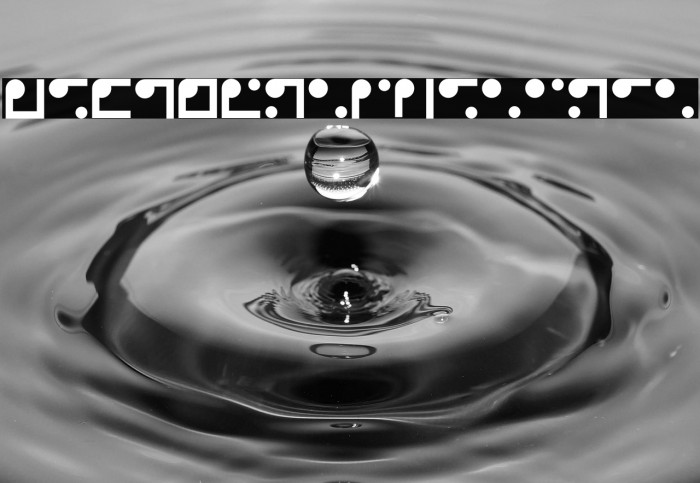 Nyctographyaurea Example 1