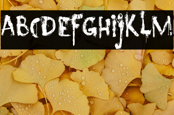 Nyctophobia Example 2