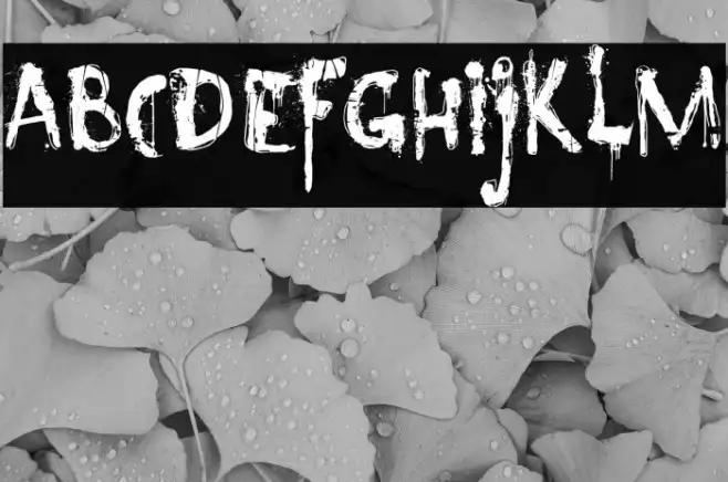 Nyctophobia Example 2