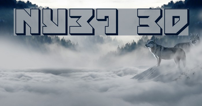 Nyet 3D Example 3