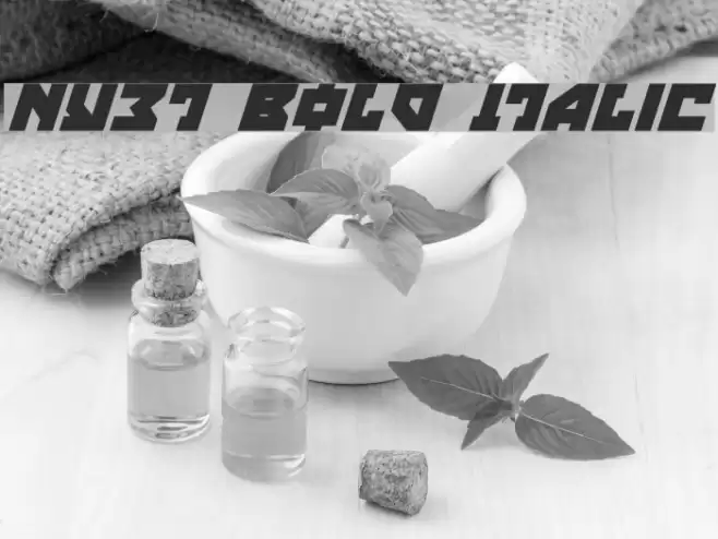 Nyet Bold Italic Font examples