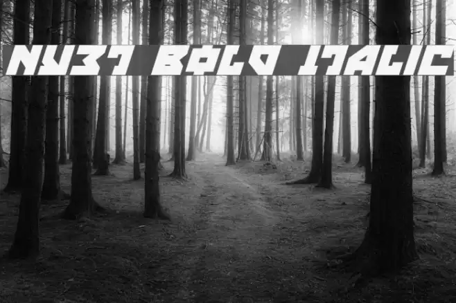 Nyet Bold Italic Font examples