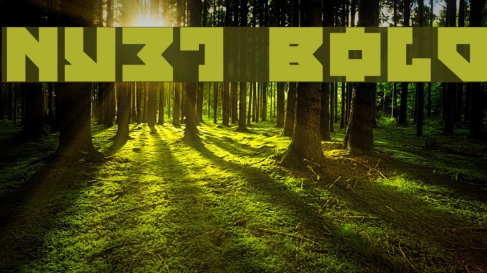 Nyet Bold Font examples