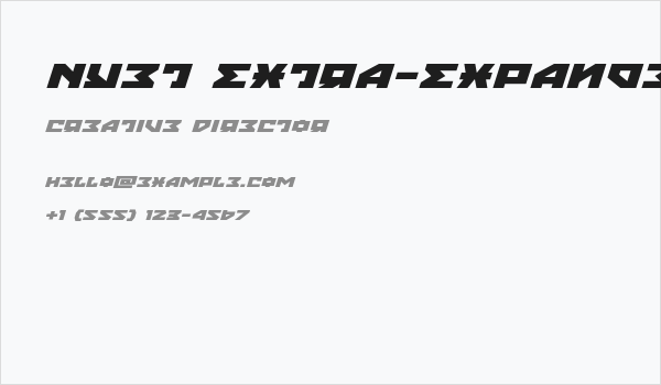 Nyet Extra-Expanded Italic Business Card