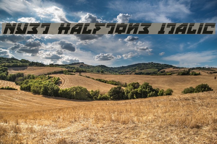 Nyet Halftone Italic Font examples