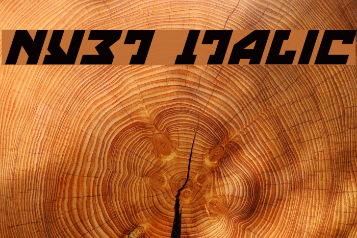 Nyet Italic Font examples