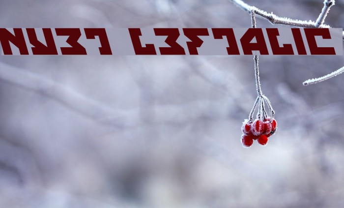 Nyet Leftalic Font examples