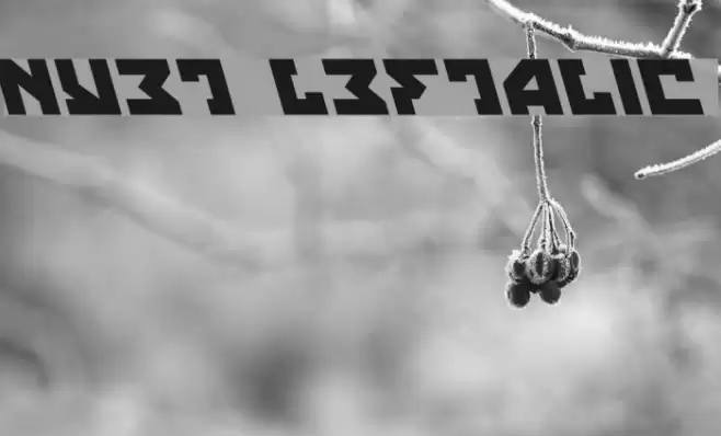 Nyet Leftalic Font examples