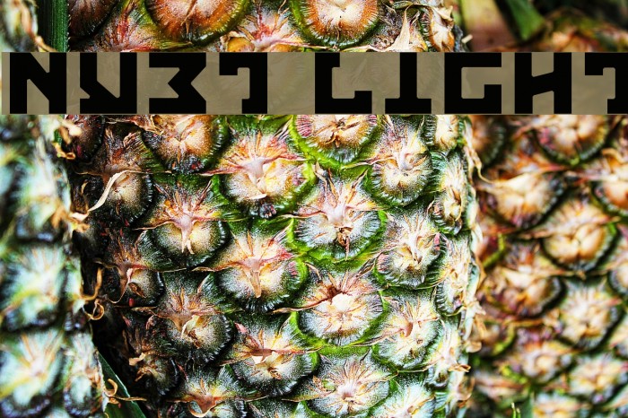 Nyet Light Font examples