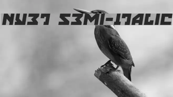 Nyet Semi-Italic Fonte examples