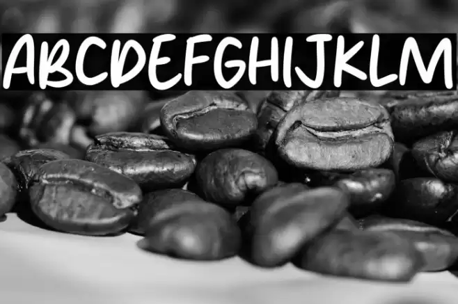 Nylon Brush Font examples