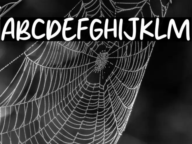 Nylon Brush Font examples