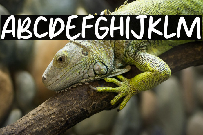 Nylon Brush Example 3