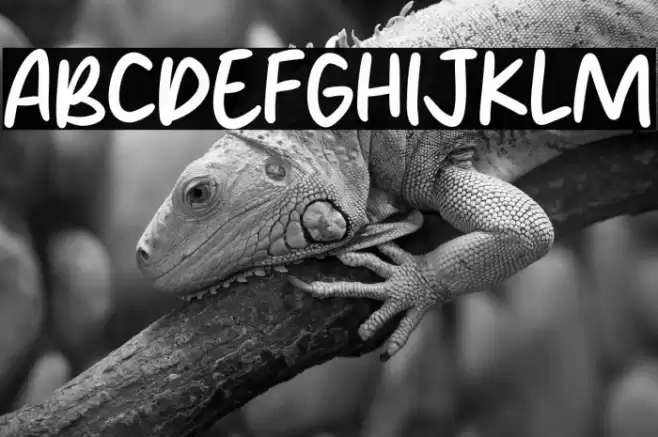 Nylon Brush Font examples