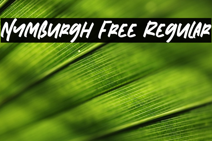 Nymburgh Free Regular Example 1