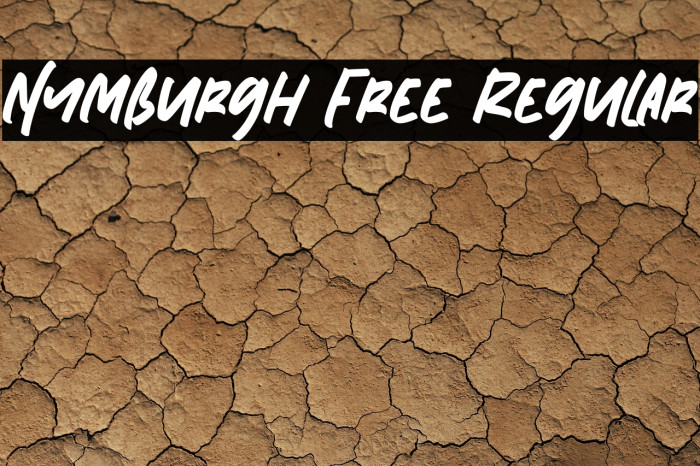 Nymburgh Free Regular Example 3