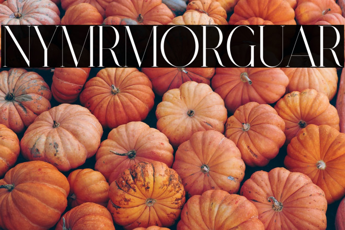 Nymere Demo Regular Example 1