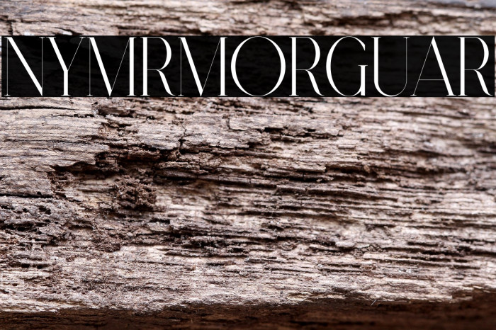 Nymere Demo Regular Example 3