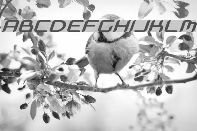 Nyooo BoldOblique フォント examples