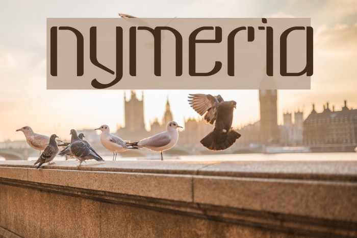 nymeria Example 1