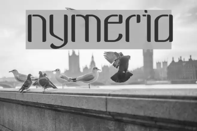 nymeria Font examples