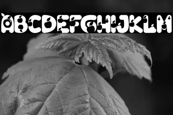 O Apple Font examples