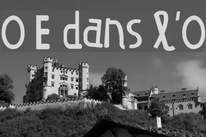 O E dans l'O Fuentes examples