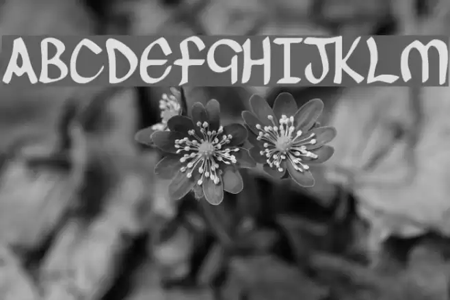 O'Connor Font examples