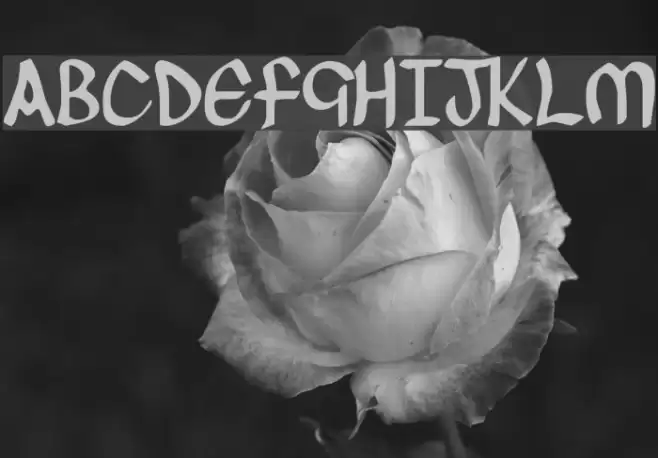 O'Connor Font examples