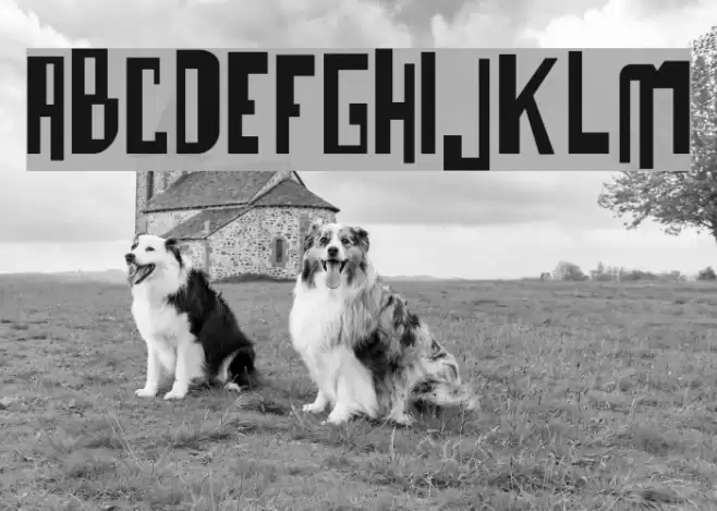 o bicho Font examples