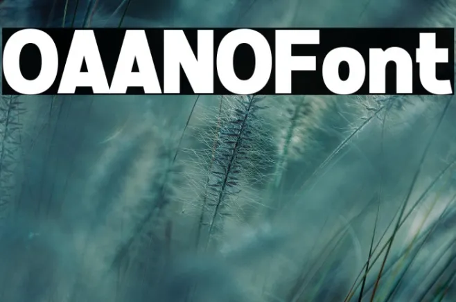 OAANO Example 1