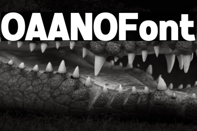 OAANO Example 2