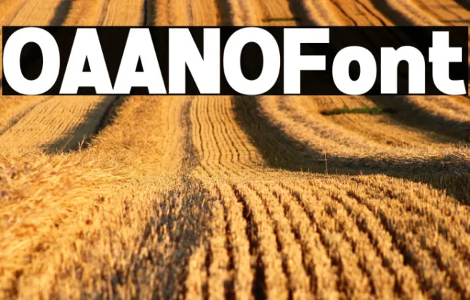 OAANO Example 3