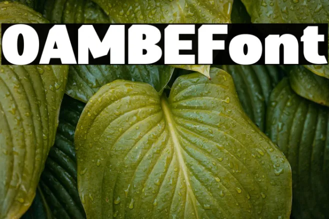 OAMBE Example 3