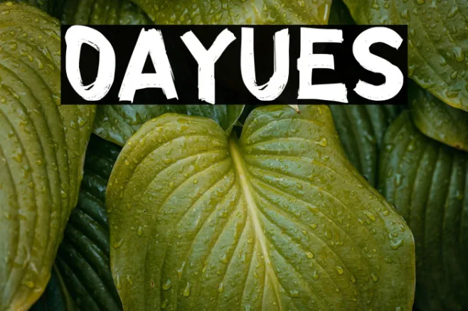 OAYUES Example 3