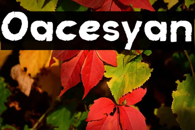 Oacesyan Example 1