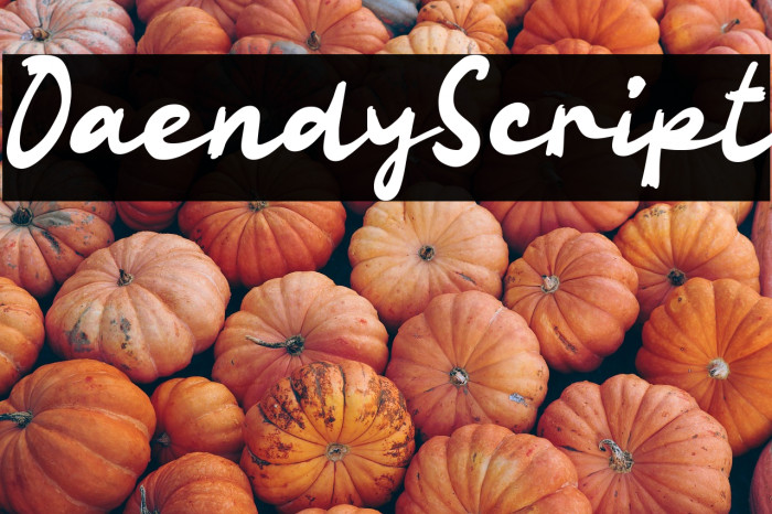 Oaendy Script Example 2