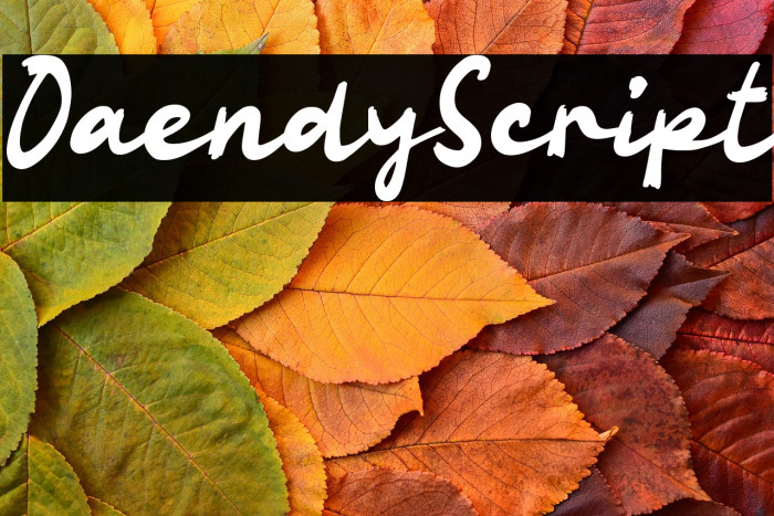 Oaendy Script Example 3