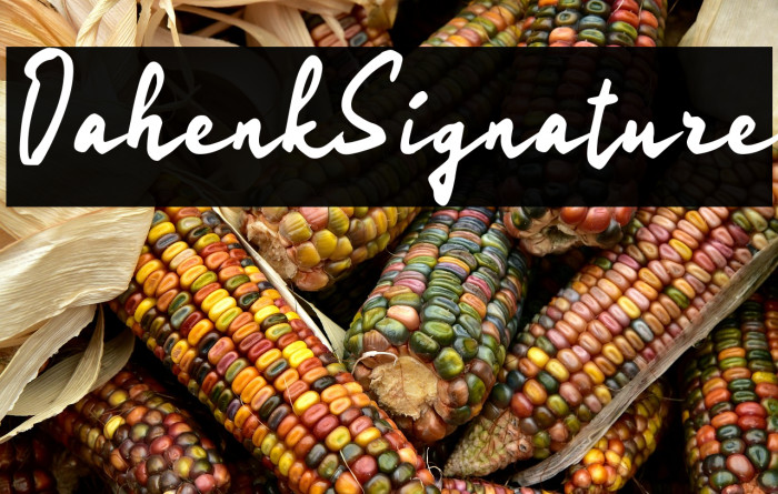 Oahenk Signature Example 1