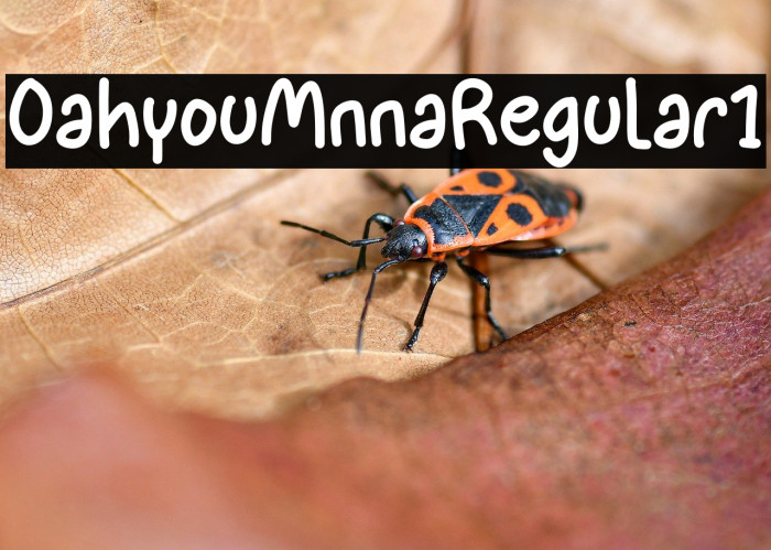 Oahyou Minna Regular1 Example 2