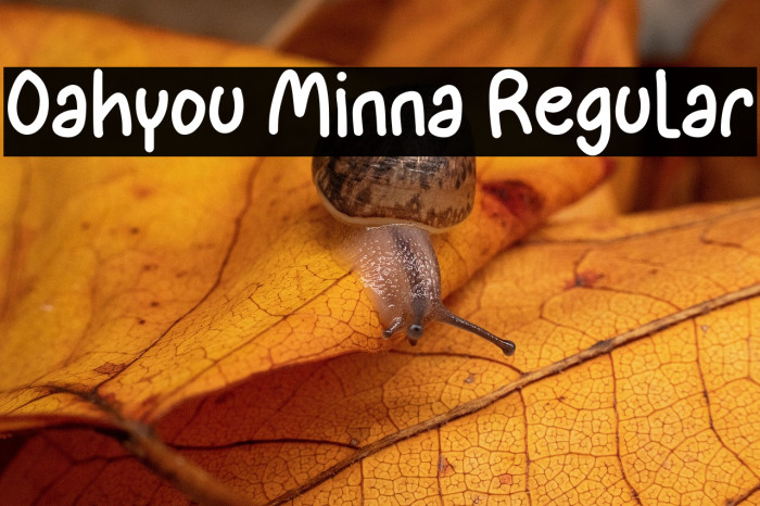 Oahyou Minna Regular Example 3