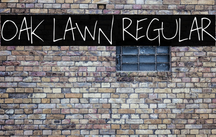 Oak Lawn Regular Font examples