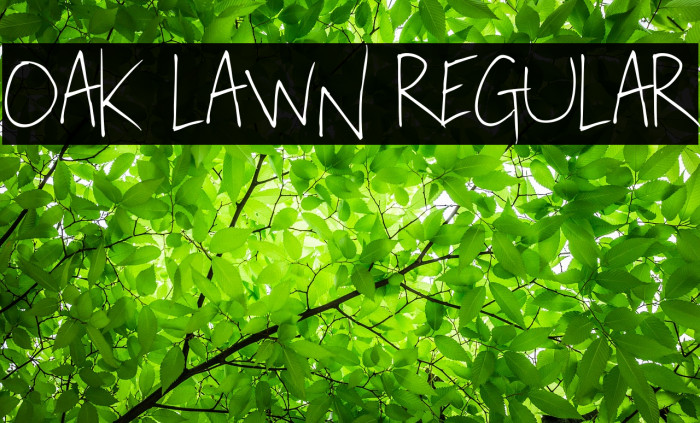 Oak Lawn Regular Font examples