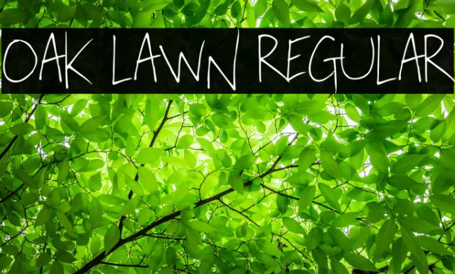 Oak Lawn Regular Example 3